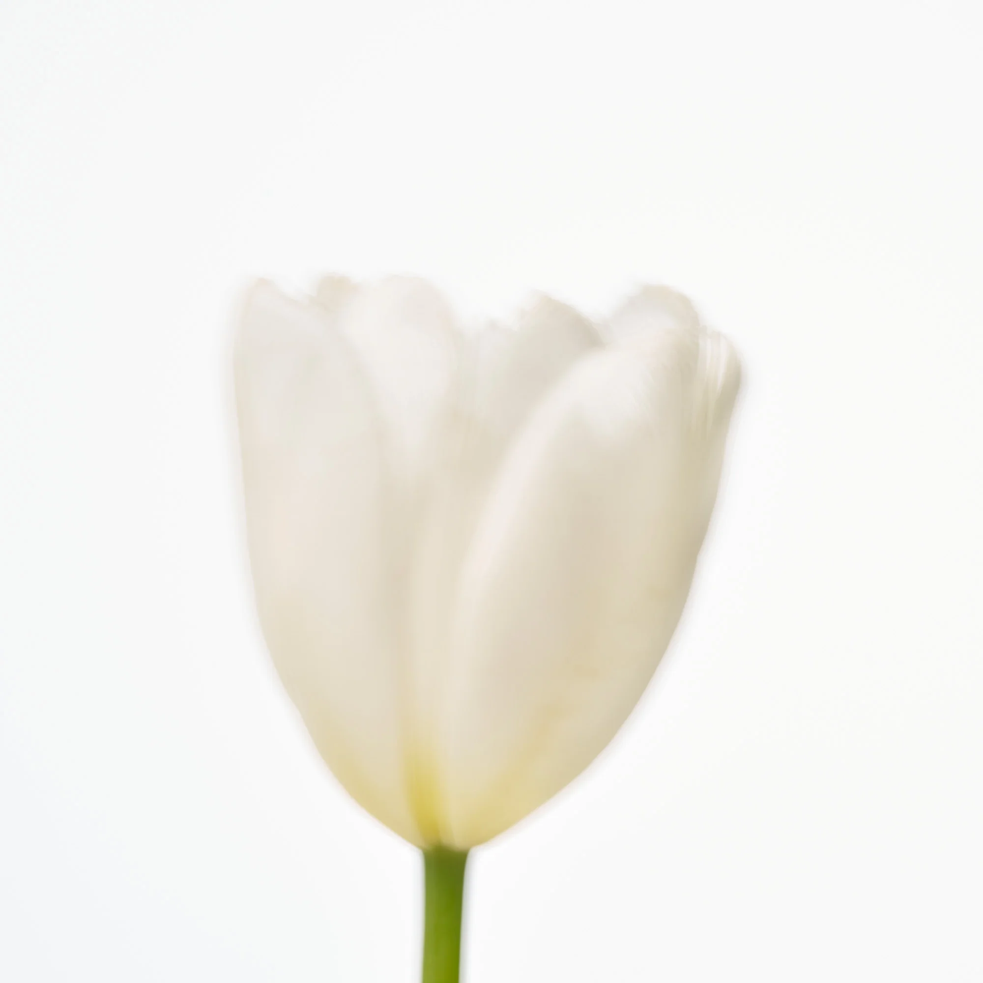 Eau De Parfum The First (50ml) - Image 2