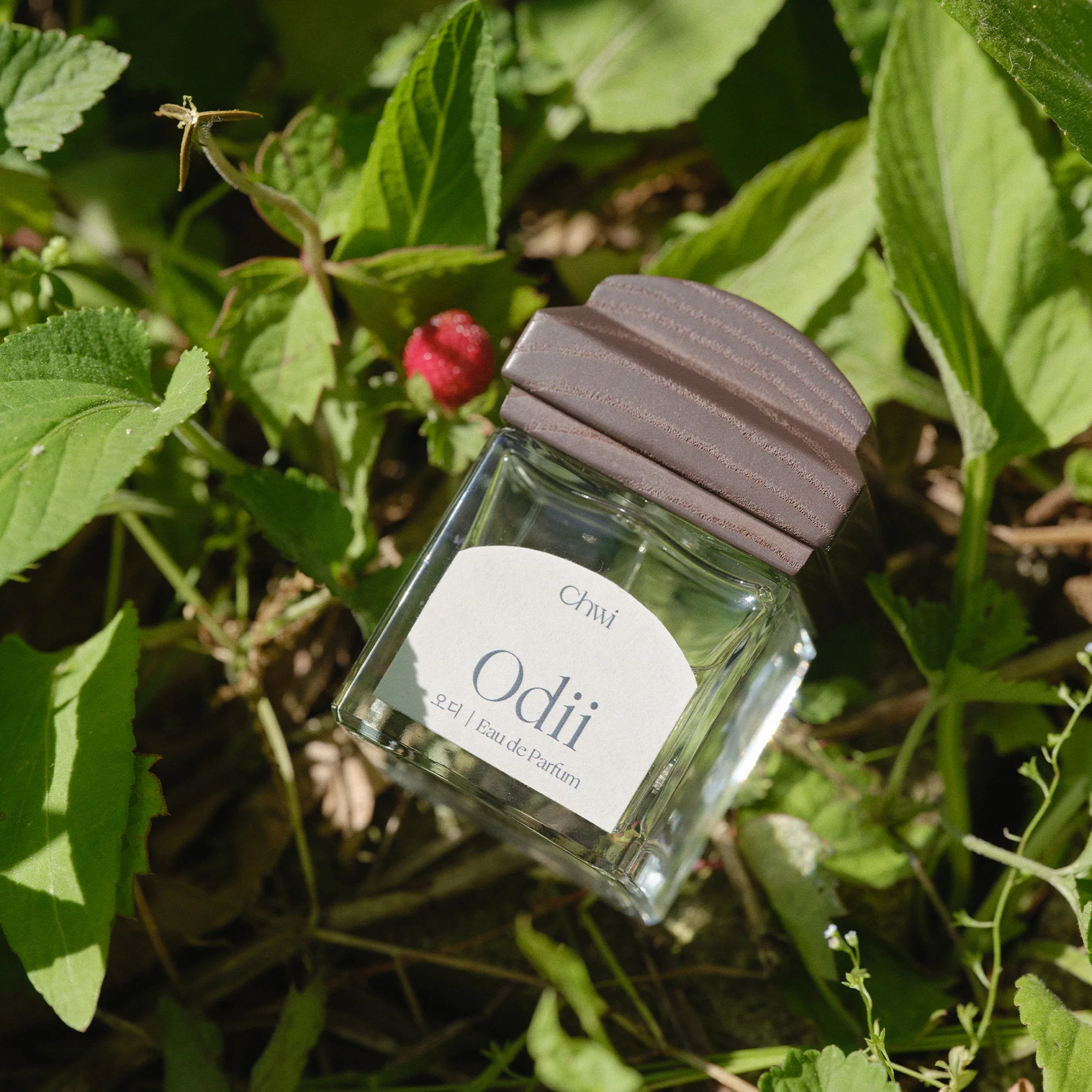 Eau De Parfum - Odii (50ml) - Image 4