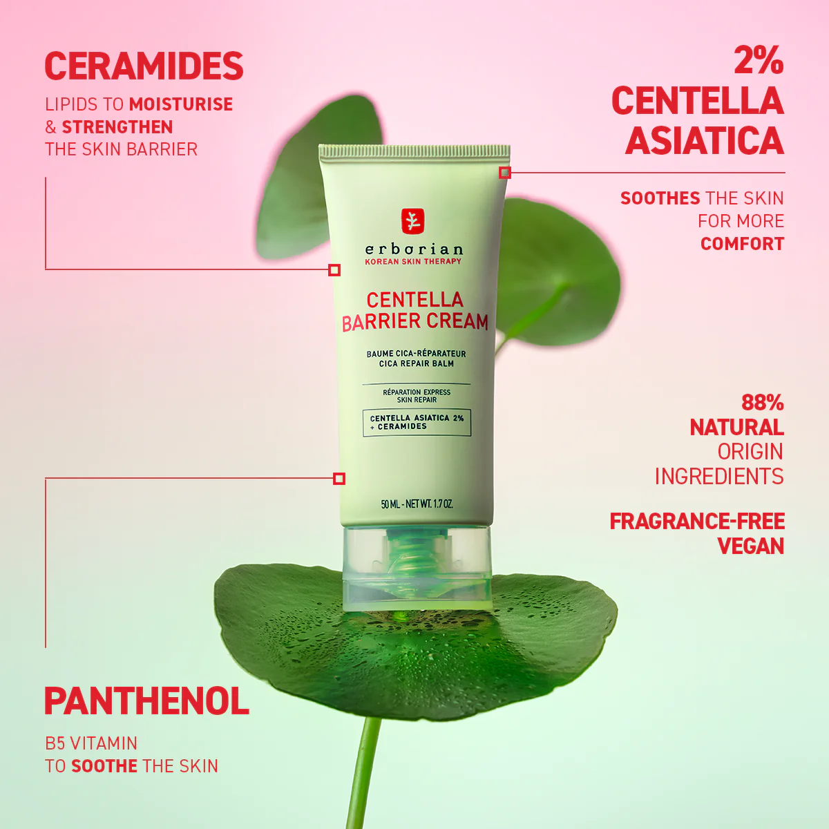 Centella Barrier Cream (50ml) - Image 3