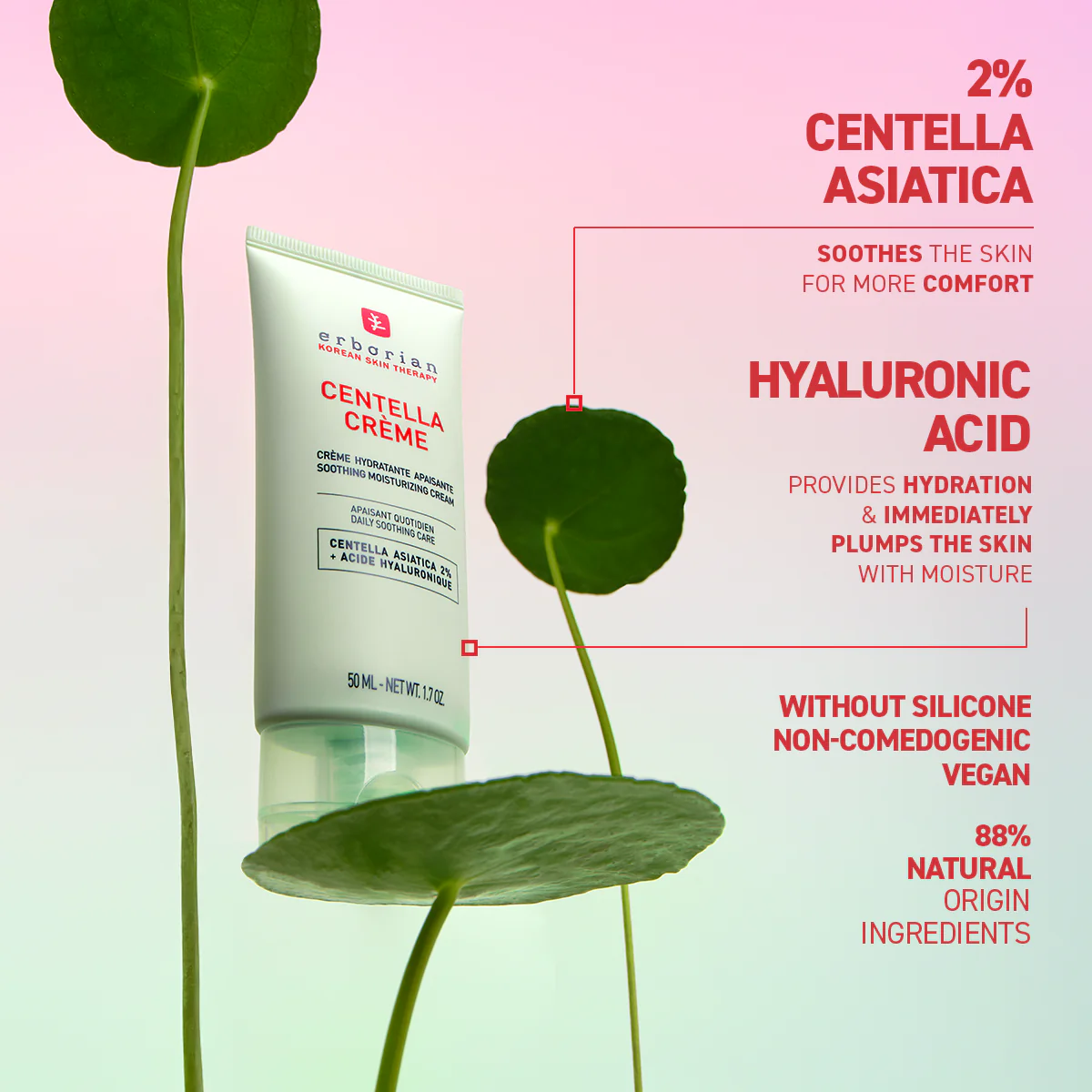 Centella Creme (50ml) - Image 3