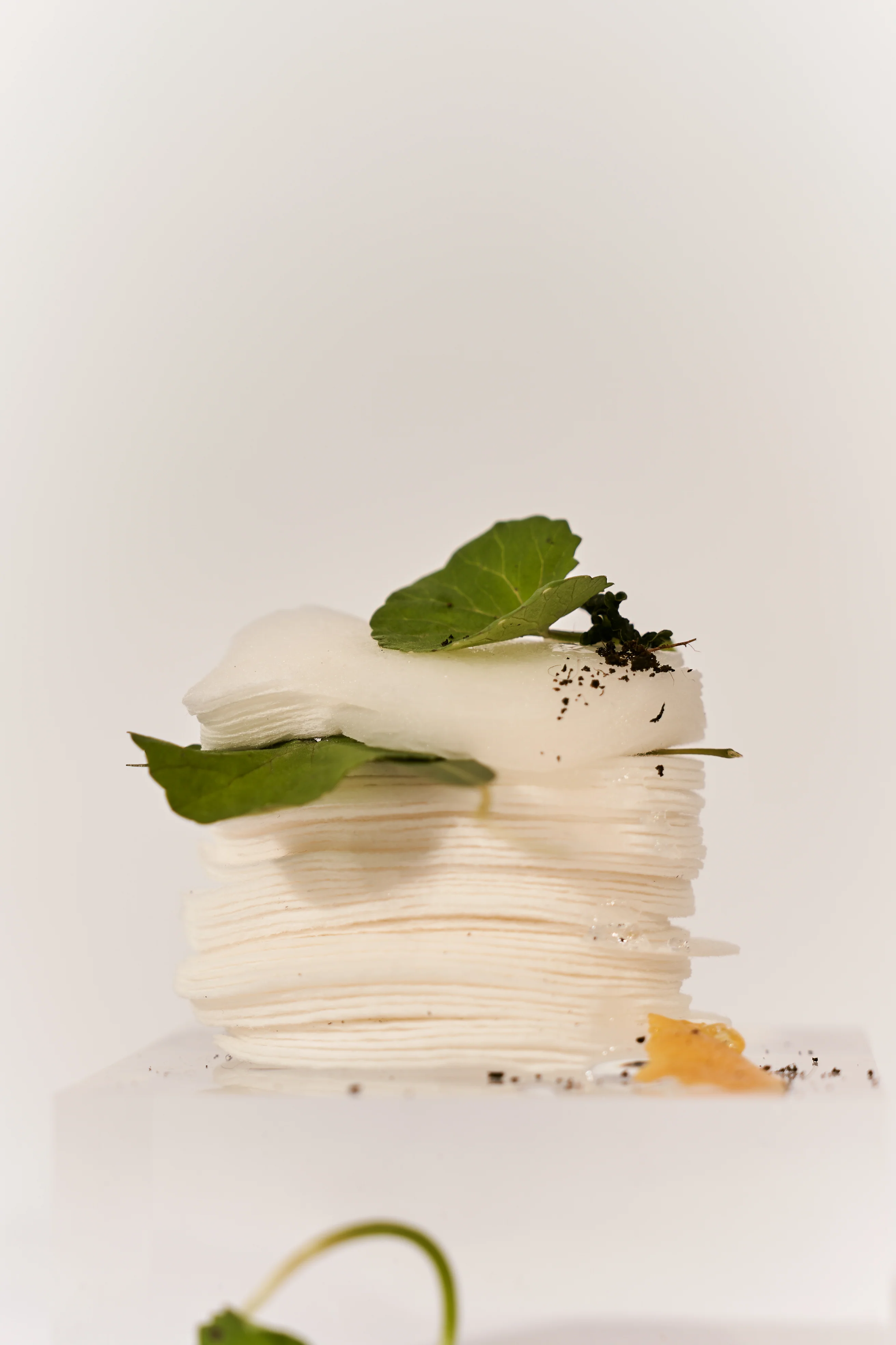 Centella 3% PHA Gentle Liquid Exfoliating Serum - Image 3
