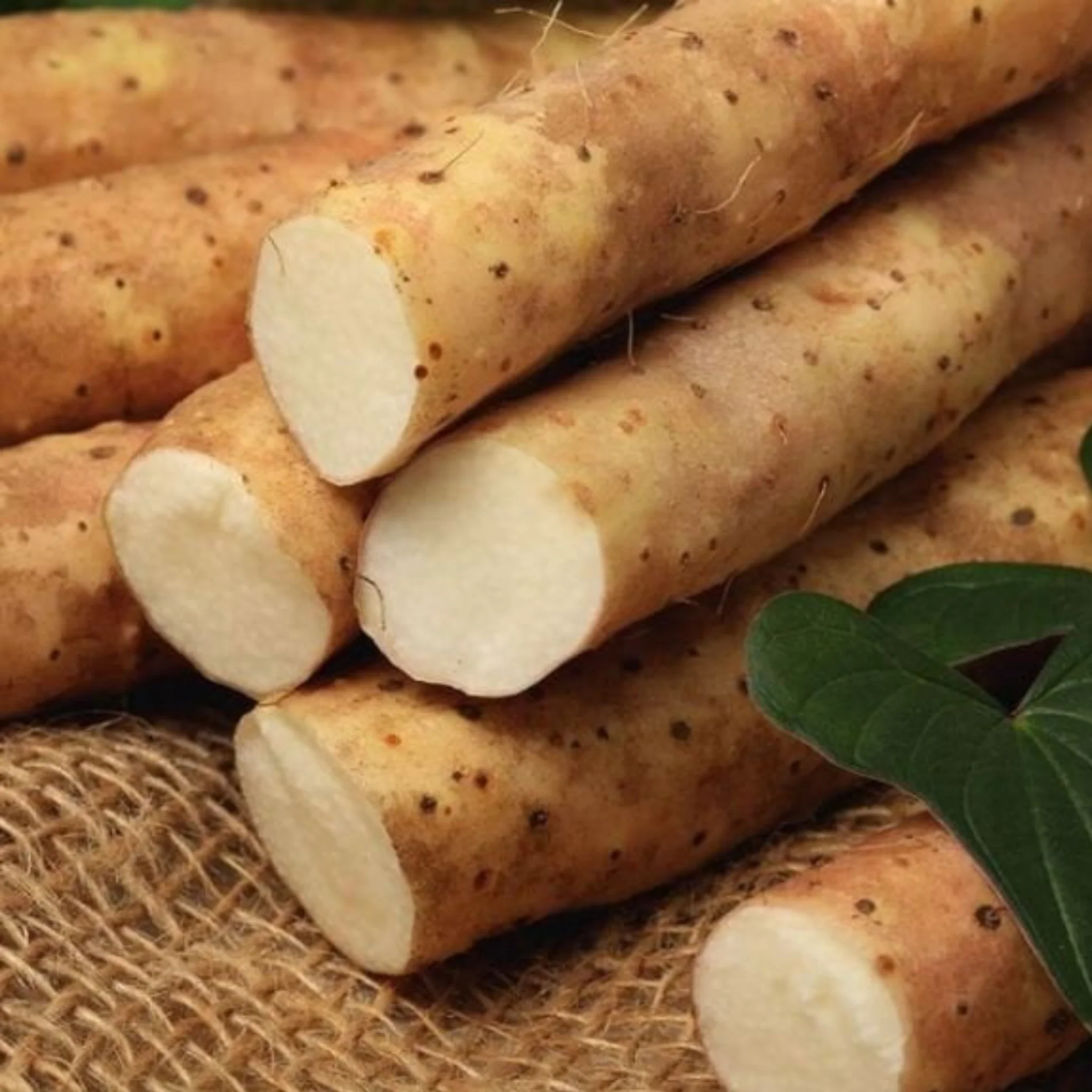 [Special Sale] Yam Root Vegan Milk Cream (80ml) - Image 3