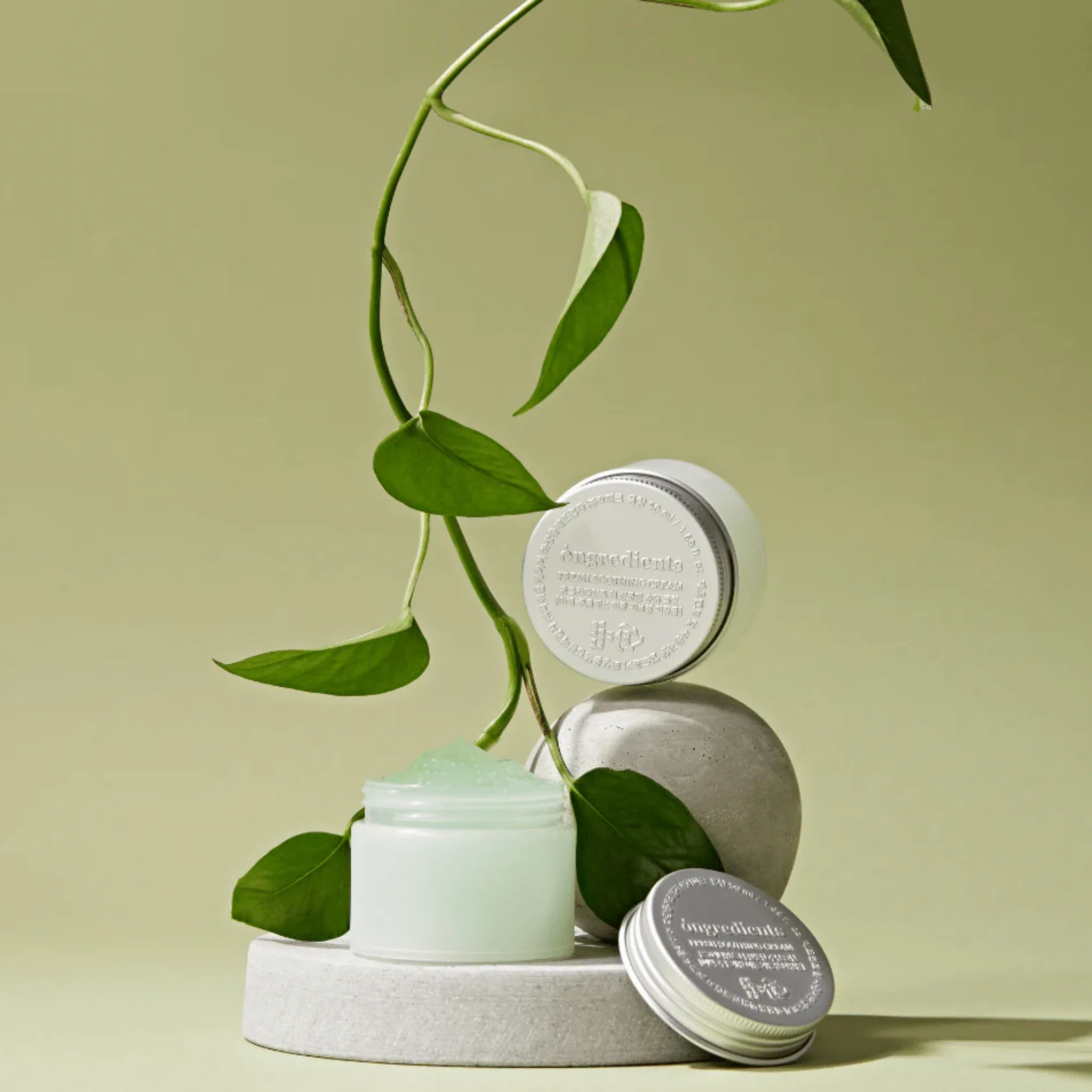 Fresh Soothing Cream (50ml) - Image 4