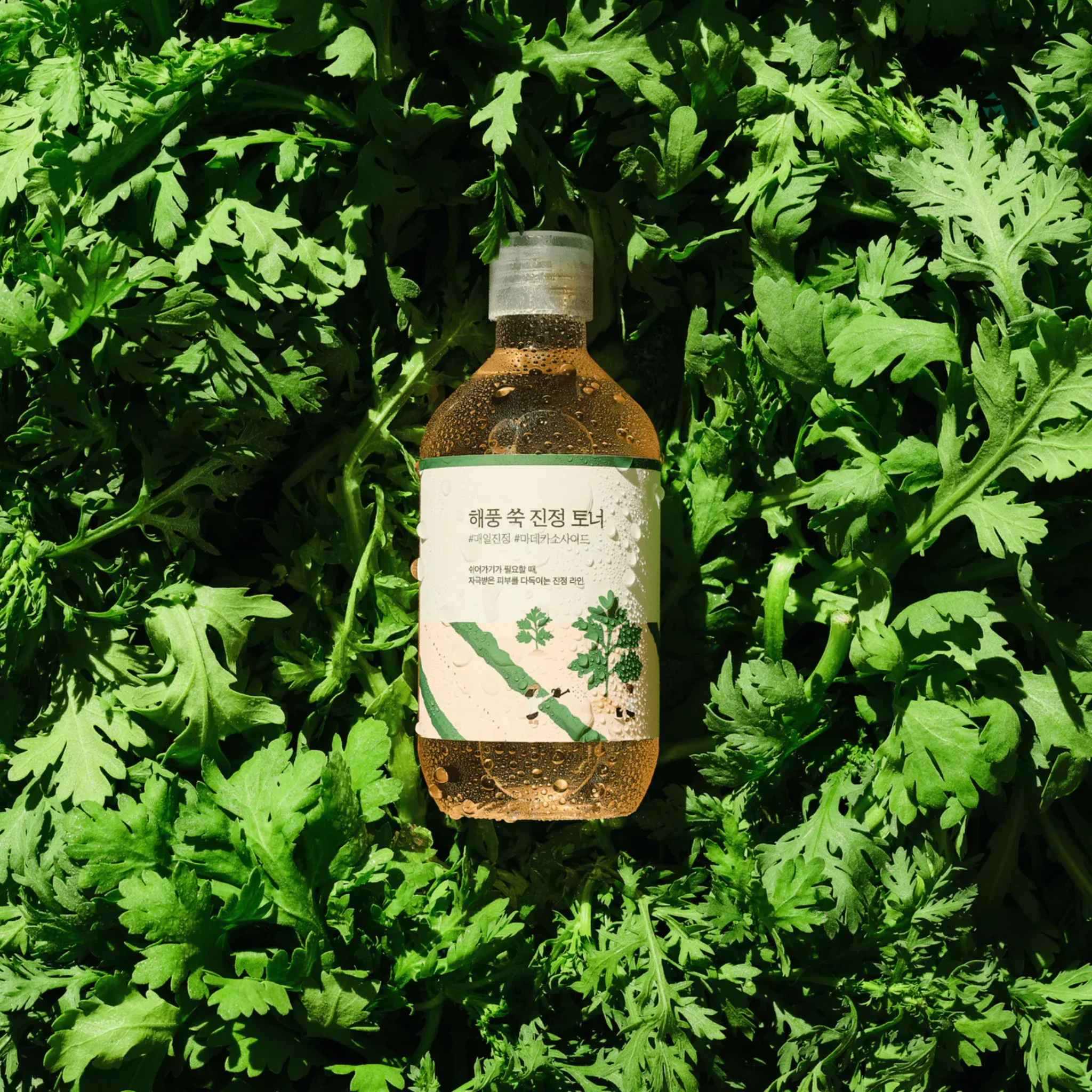 Mugwort Calming Toner (300ml) - Image 2